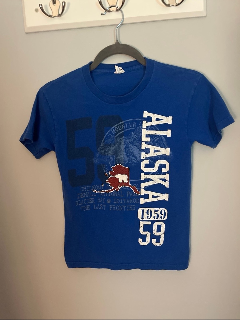 Delta Blue Alaska Graphic Tee